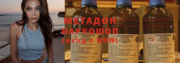 прущие грибы Елабуга