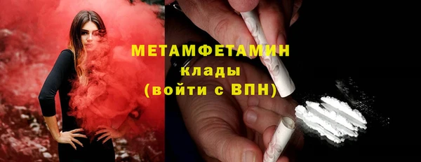 прущие грибы Елабуга