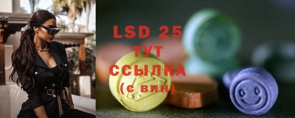 mdpv Ельня