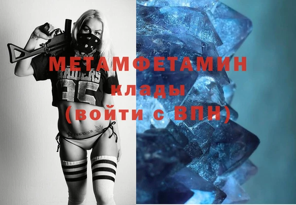 шишки Дмитриев