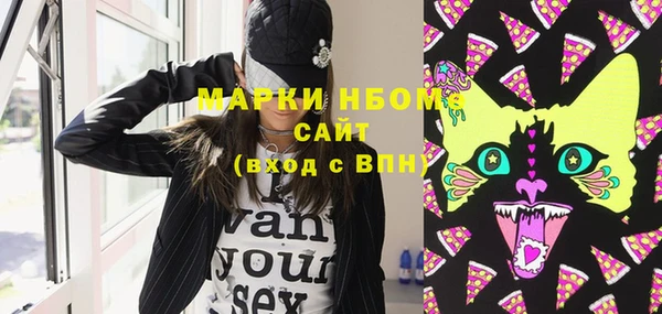 шишки Дмитриев