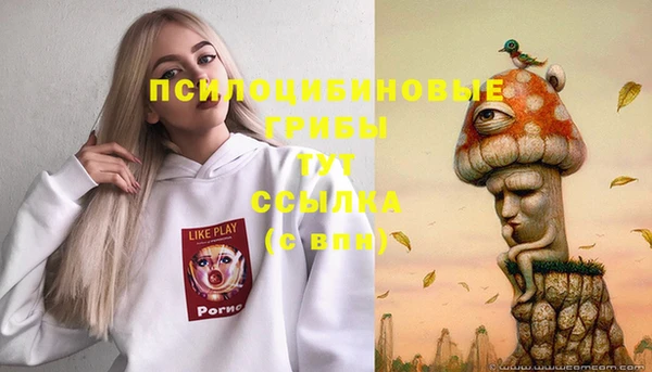 стафф Тайга