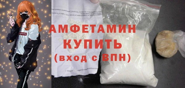 шишки Дмитриев