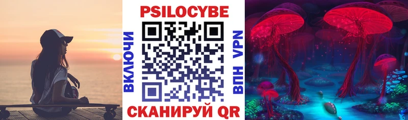 Псилоцибиновые грибы Cubensis  Купить  Оха 