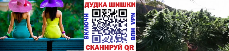 Купить где  Оха  Марихуана OG Kush 